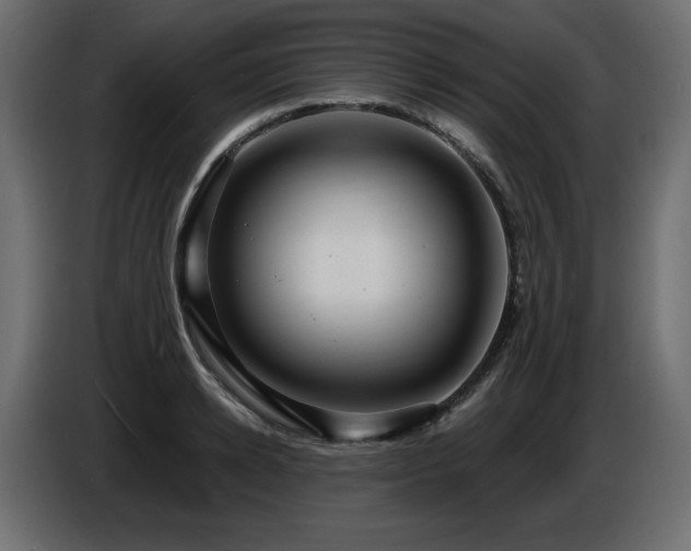 X0000086730942200704131103