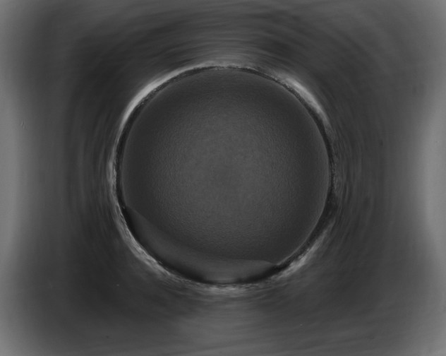 X0000086730944200704131103