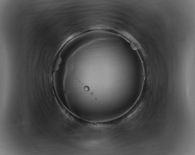 X0000086730945200704131103