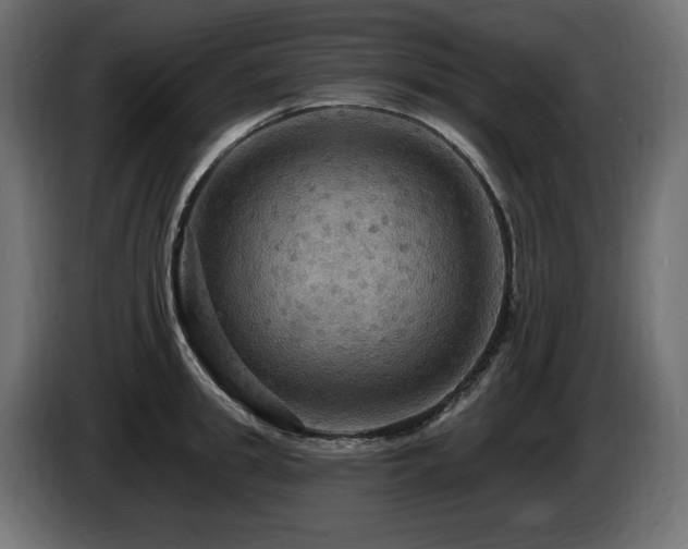 X0000086730949200704131103