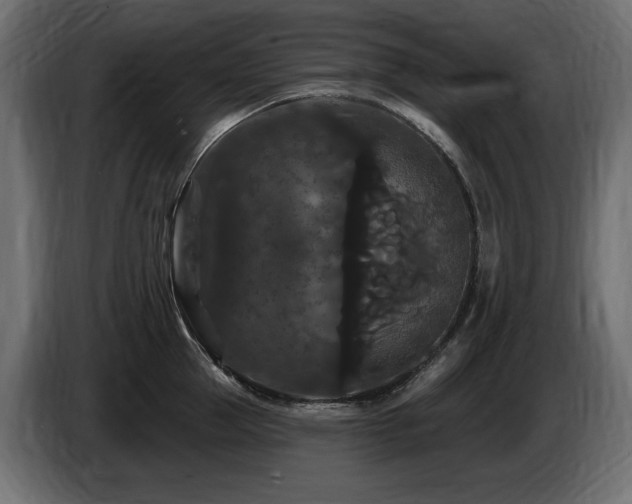 X0000086730953200704131103