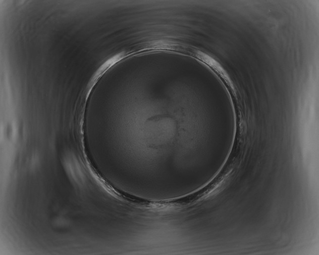 X0000086730954200704131103