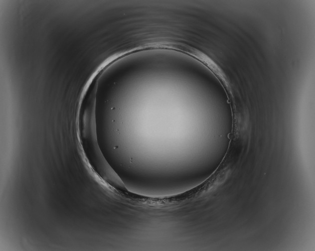 X0000086730955200704131103