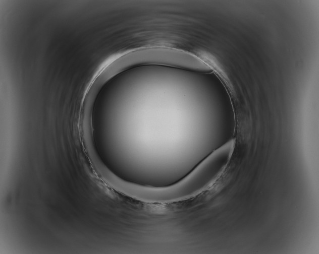 X0000086730956200704131104