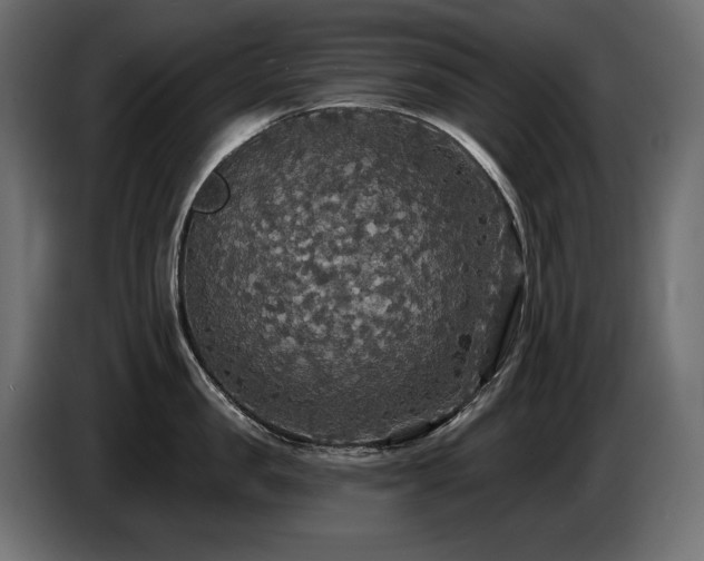X0000086730957200704131104