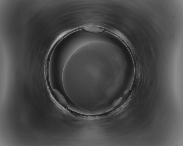 X0000086730958200704131104