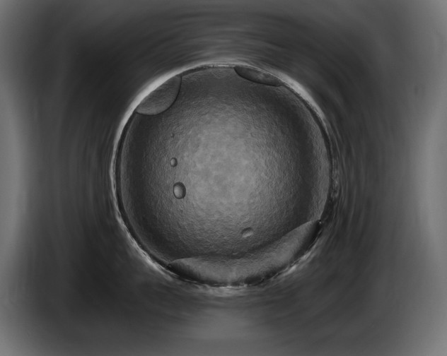 X0000086730959200704131104