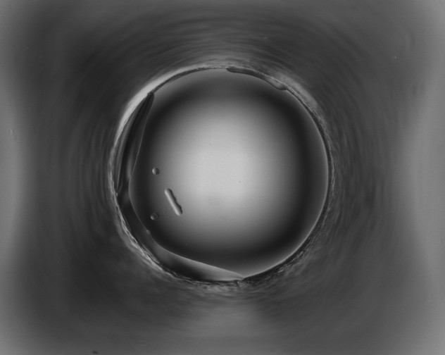 X0000086730960200704131104