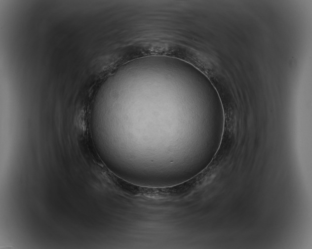 X0000086730962200704131103