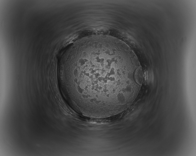 X0000086730963200704131103
