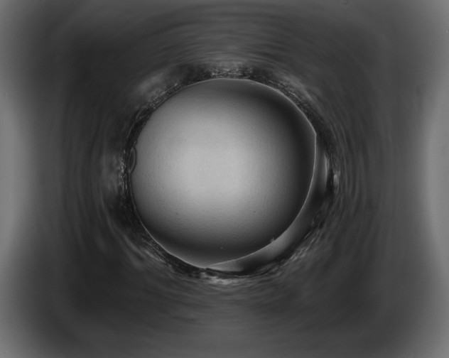 X0000086730964200704131103