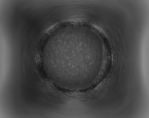 X0000086730966200704131103
