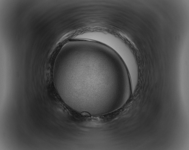 X0000086730968200704131103