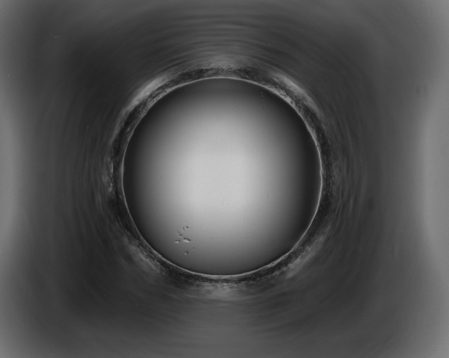 X0000086730970200704131103