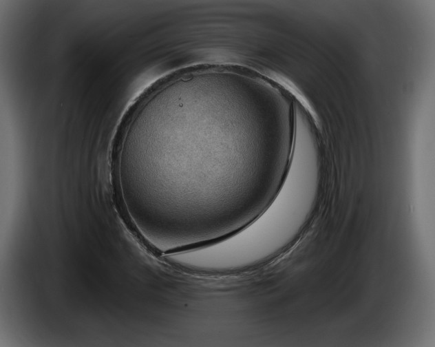 X0000086730972200704131103