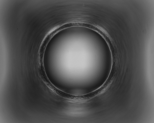 X0000086730974200704131103