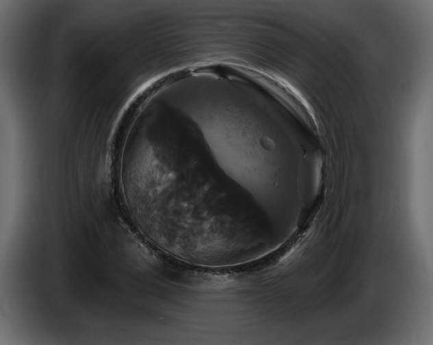X0000086730975200704131103