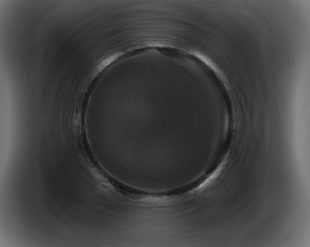 X0000086730977200704131103