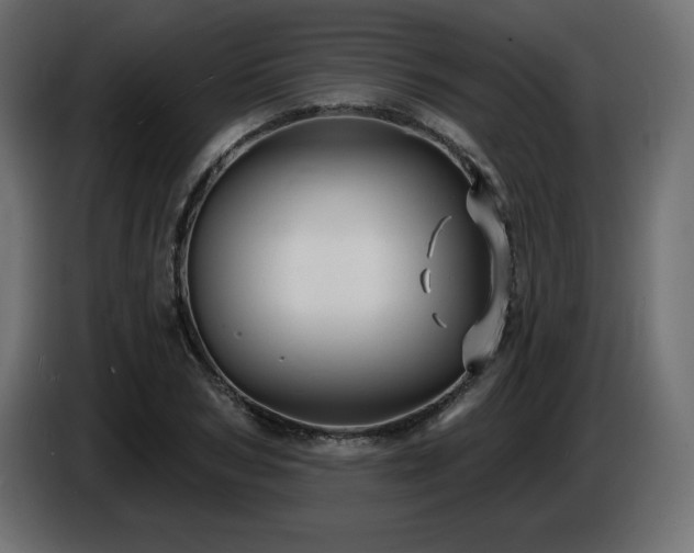 X0000086730978200704131103