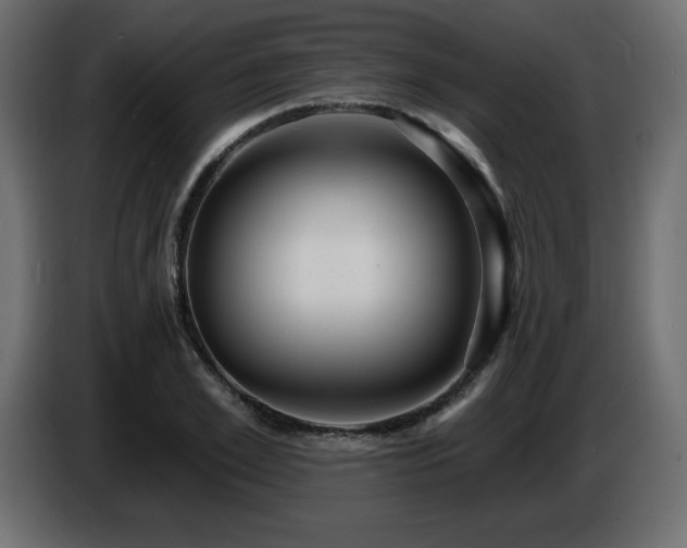 X0000086730981200704131103