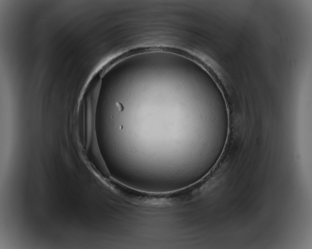 X0000086730982200704131103