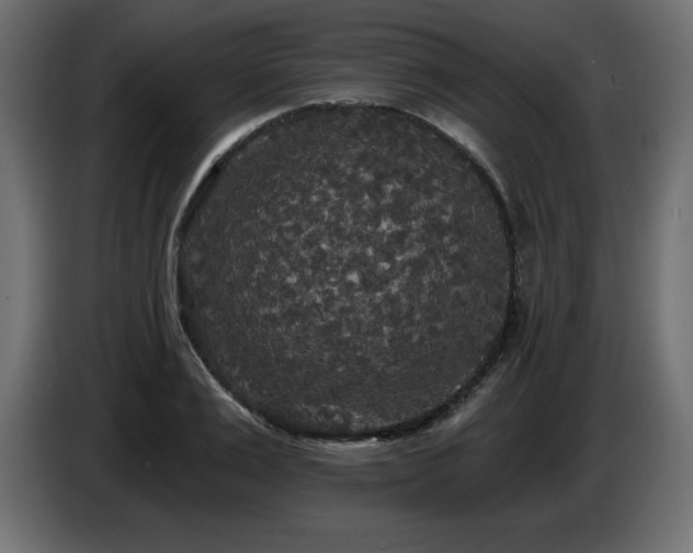 X0000086730983200704131103