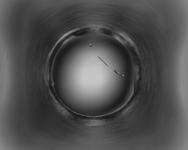 X0000086730984200704131103