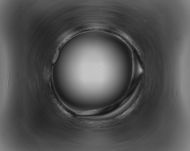 X0000086730985200704131103