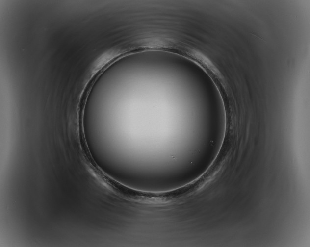 X0000086730986200704131103