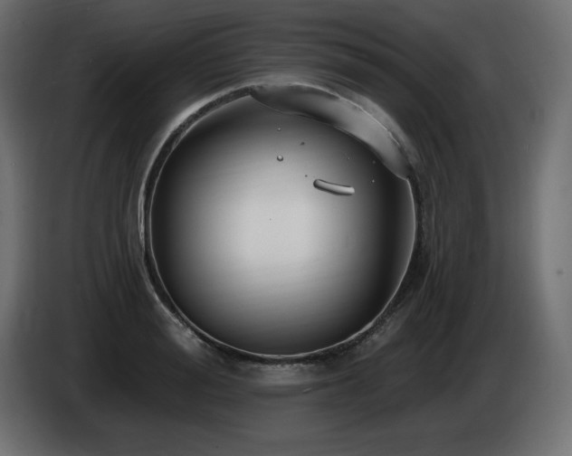 X0000086730988200704131103