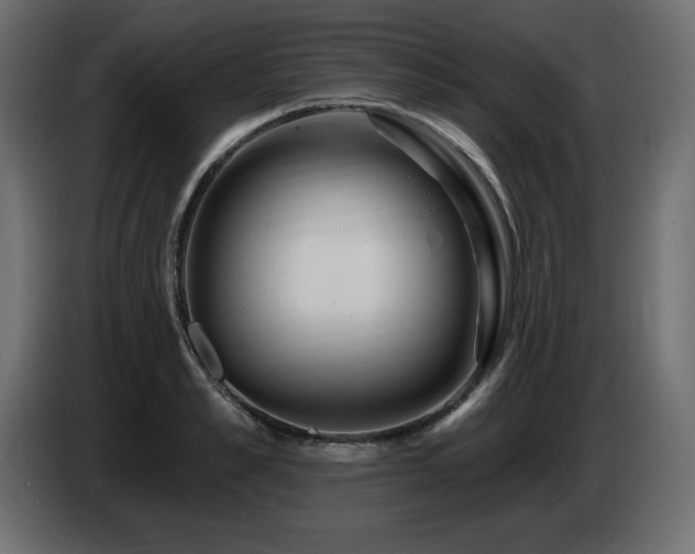 X0000086730989200704131102