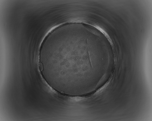 X0000086730992200704131102