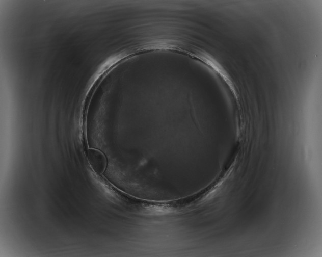 X0000086730994200704131102