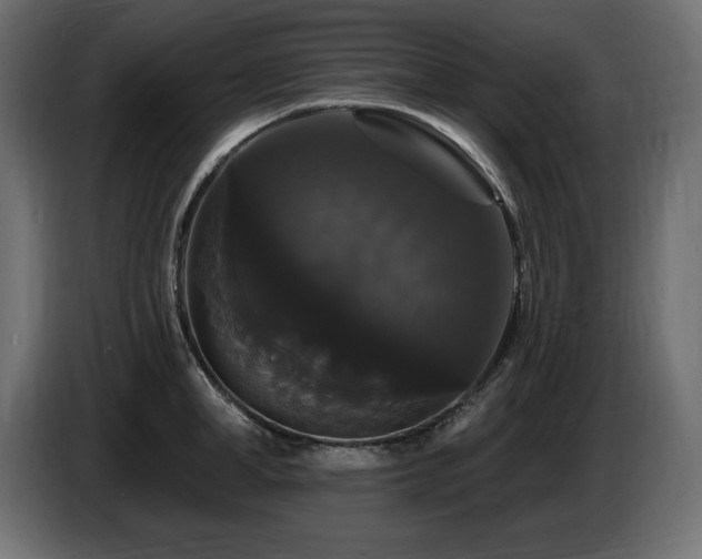 X0000086730998200704131102
