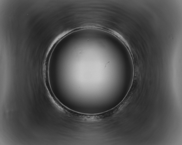 X0000086731003200704131102