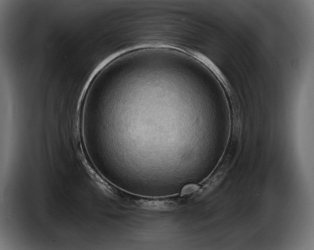 X0000086731004200704131102