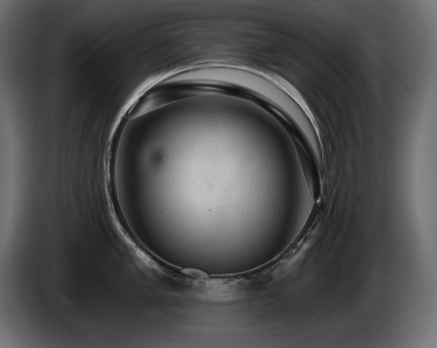 X0000086731005200704131102