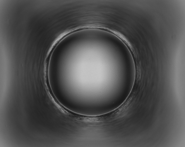 X0000086731006200704131102