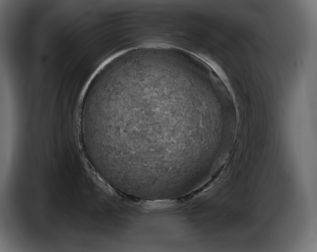 X0000086731008200704131102