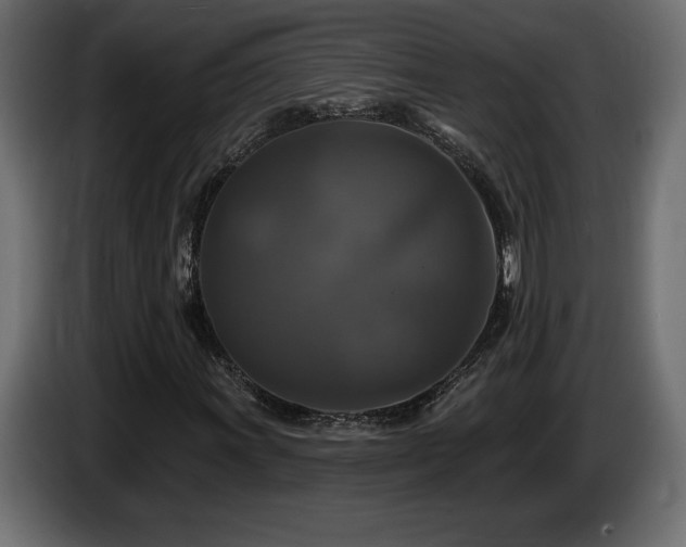 X0000086731011200704131102