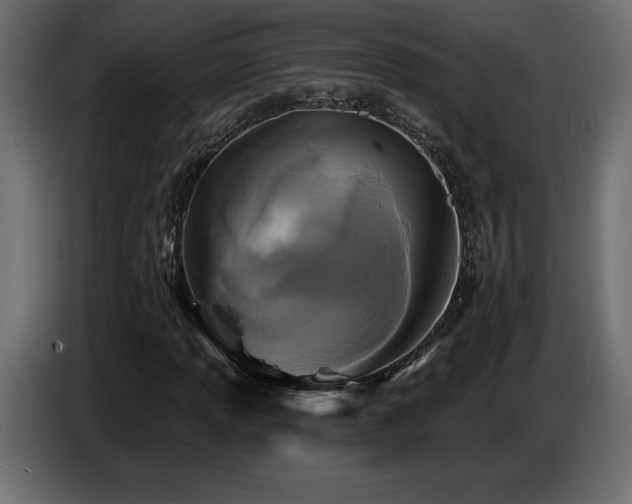 X0000086731013200704131102