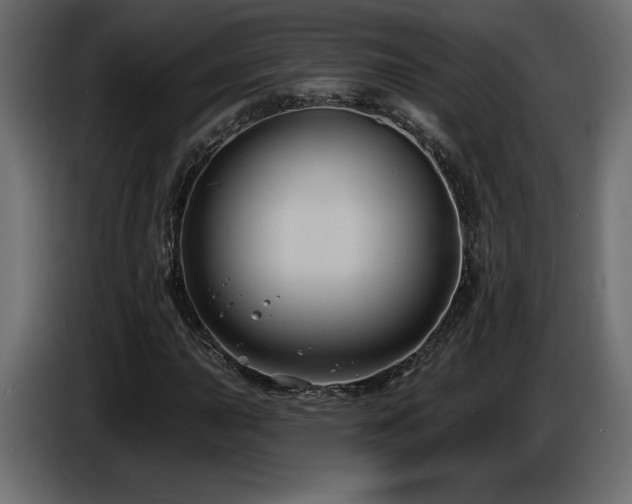 X0000086731015200704131102