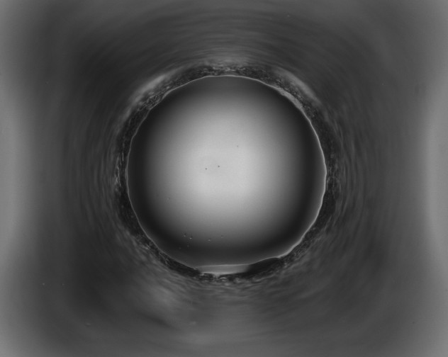 X0000086731016200704131102