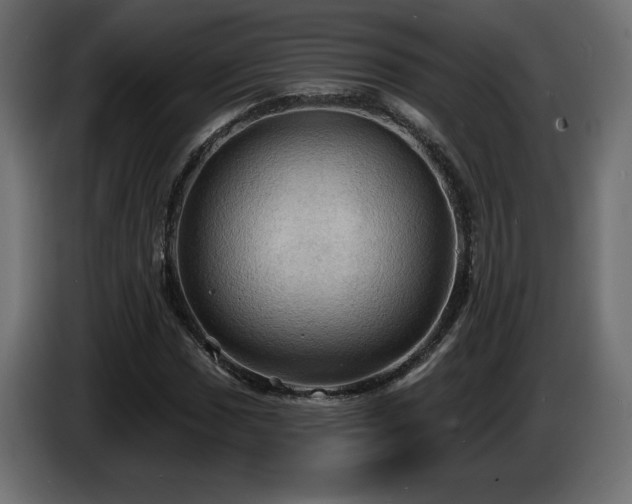X0000086731017200704131102