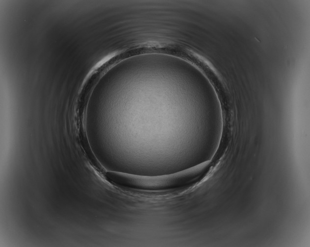 X0000086731018200704131102