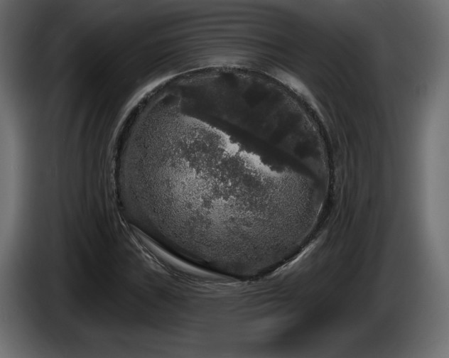X0000086731019200704131102