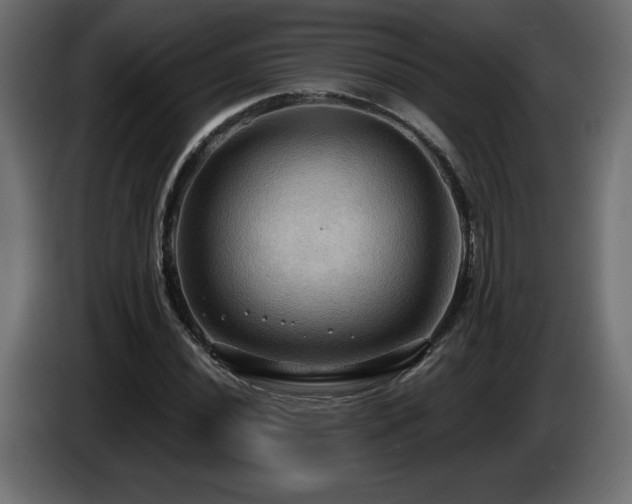 X0000086731020200704131102