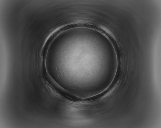 X0000086731021200704131102