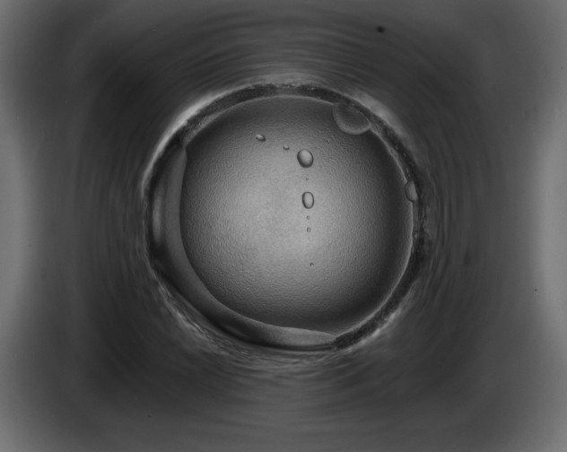X0000086731022200704131102