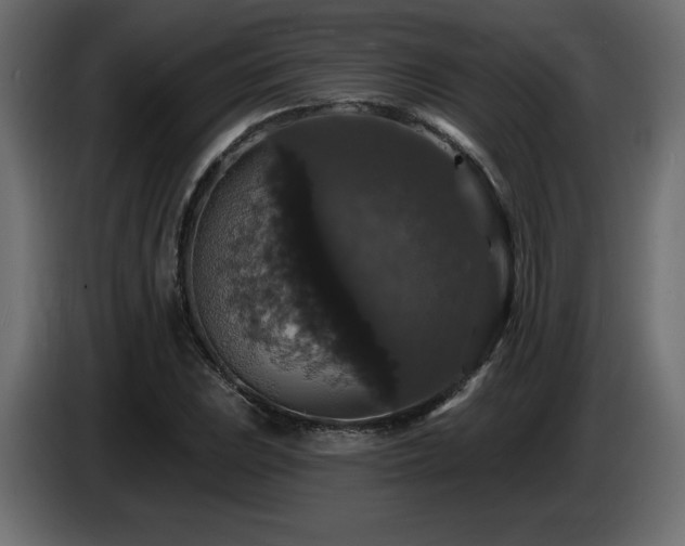 X0000086731023200704131102